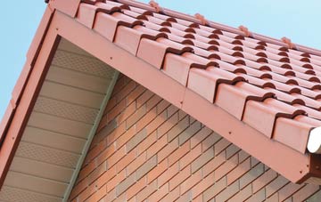 Blackmarstone fascia repair quotes
